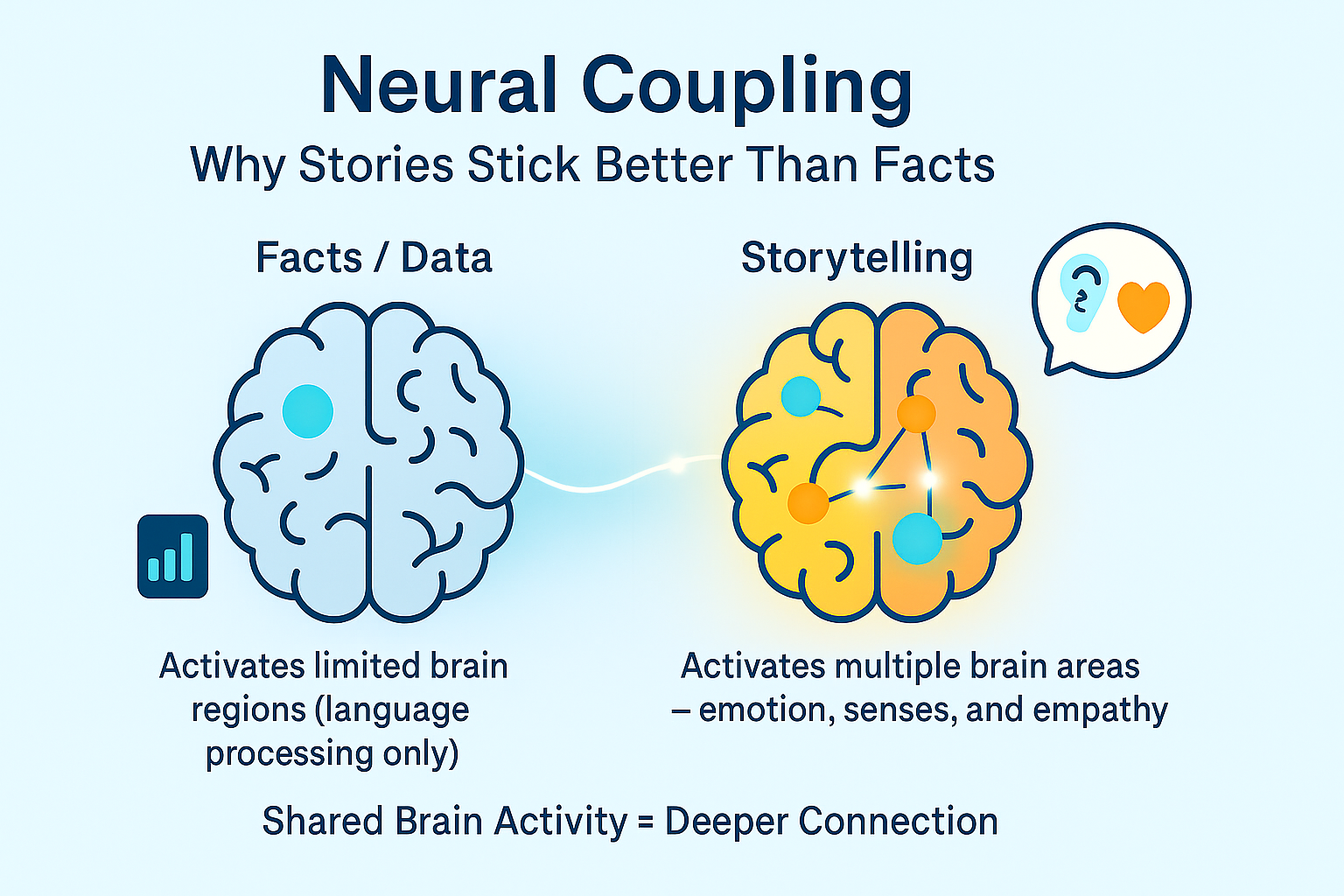 neural coupling in the brain during storytelling